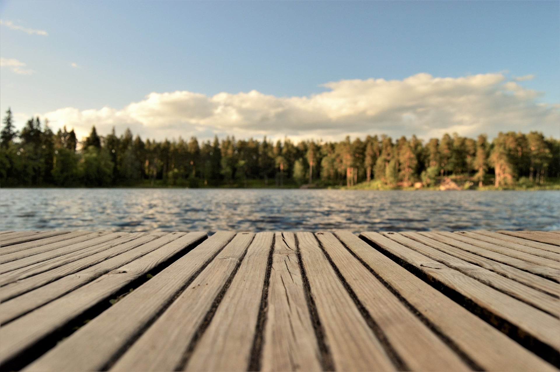 Minnesota Landscape