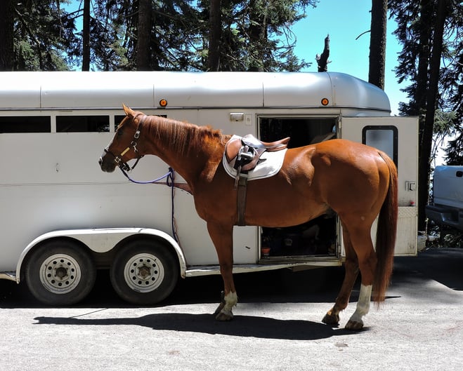 Livestock trailer