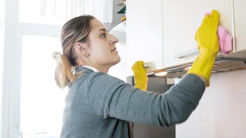 cleaning lady cleaning cupboard-1