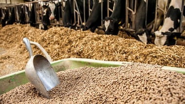 Profitable Feed Company in Western Wisconsin